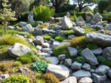Discover the Best Rock Garden Ideas for Your Garden