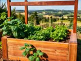 How to Build, Fill, and Plant a Raised Garden Bed