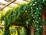 How to Grow Plants and Vines on a Pergola