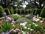 How to plan, establish, and design a perennial bed