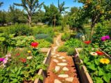 How to to create a permaculture garden