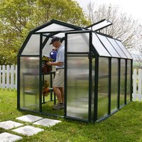 6' x 8' Palram Canopia Rion EcoGrow Green Greenhouse with Resin Frame (2.04m x 2.63m)